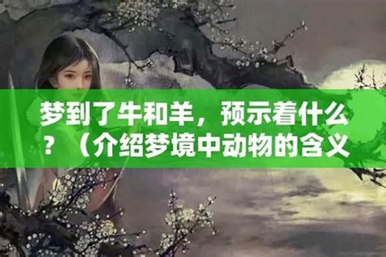 梦见牛用角抵我没抵到