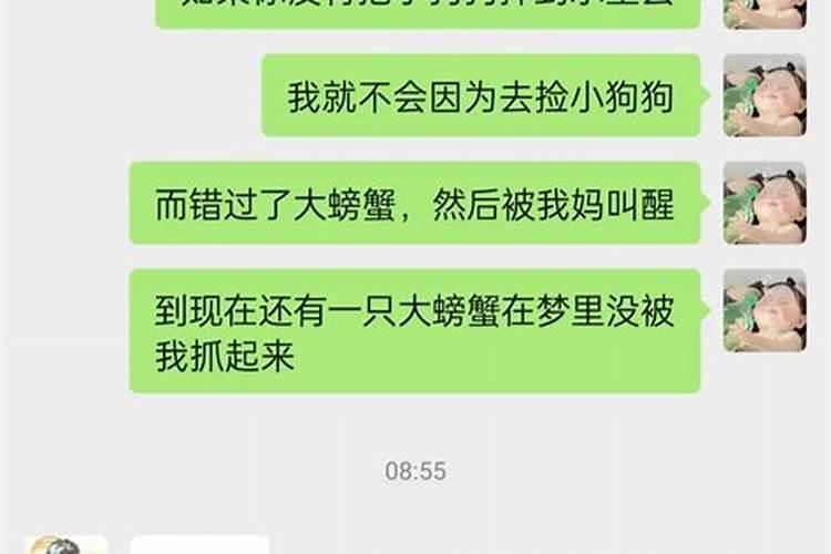 梦到狗变成鱼