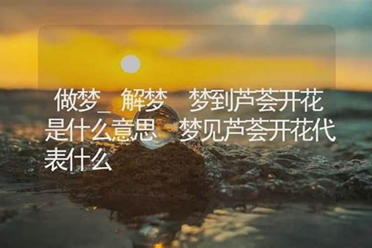 做梦梦见开花是什么意思