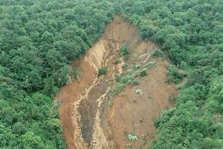 怀孕梦见下大雨发洪水山体滑坡