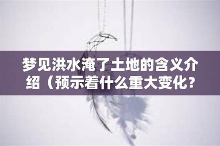 梦见洪水和蛇预示着什么