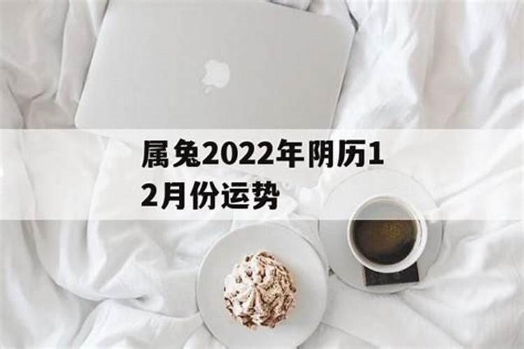 属兔的农历12月份运势如何