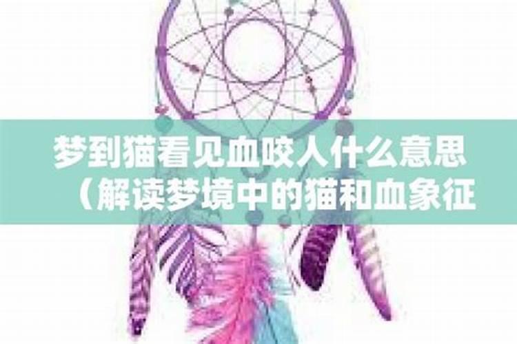 梦到猫要咬人预示着什么意思