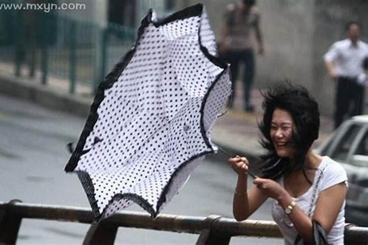 梦里梦见大风大雨