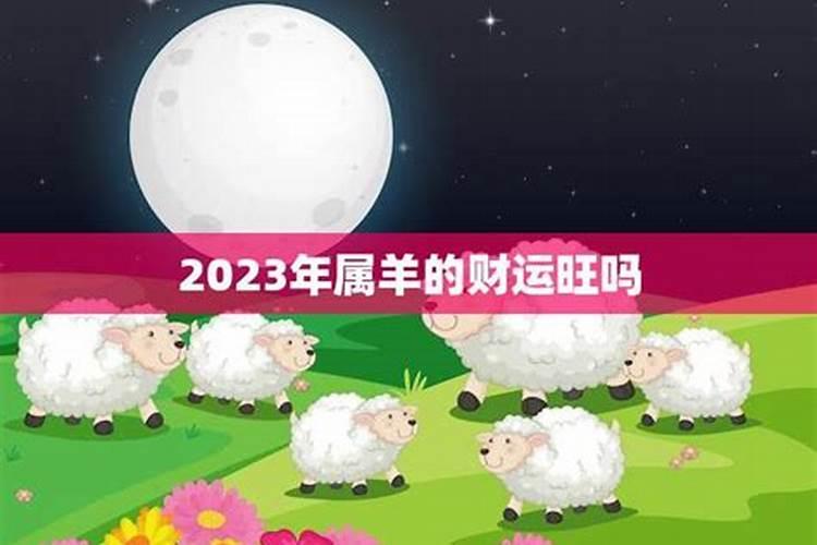 2023年属羊的运势如何