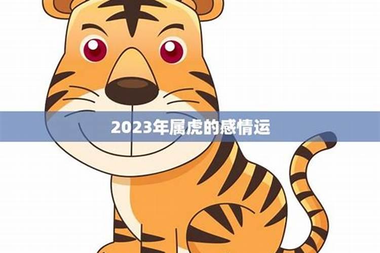 属虎的感情方面2020