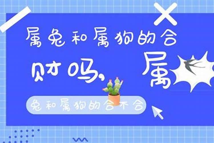 属狗和属兔的人会不会八字不合