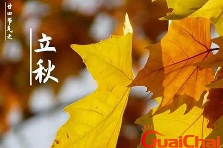 属蛇今年运势怎么样