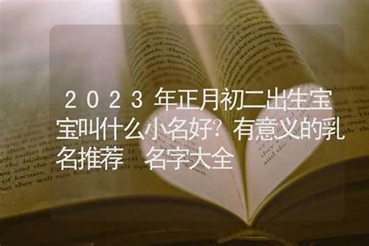 2023正月初二出生怎样取名字