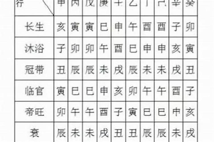 八字排盘中的蒄带是什么意思