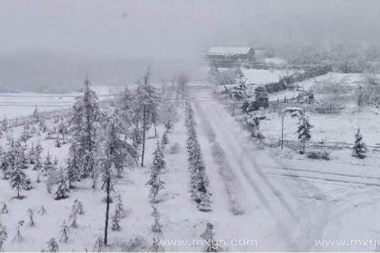 孕妇梦见下雪了白茫茫一片什么预兆还在下雪子