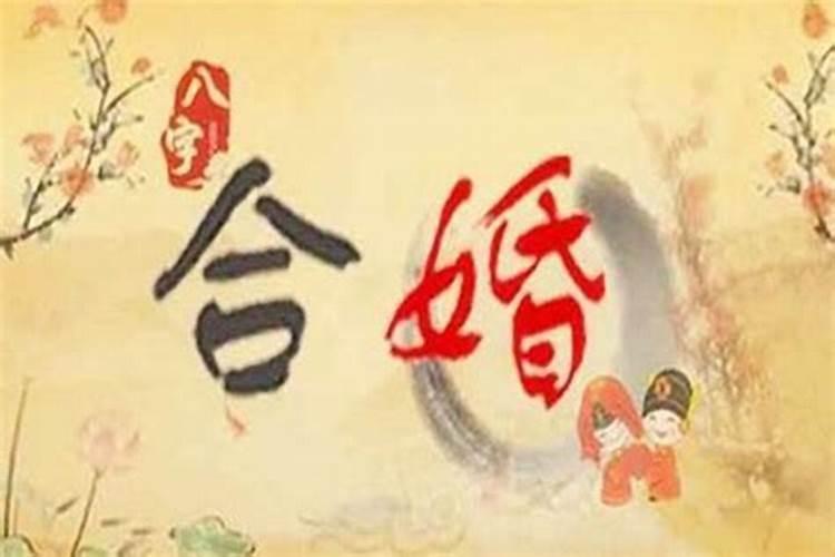 两人有缘分但是八字不合