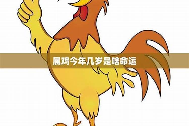 属鸡今年运势2023男