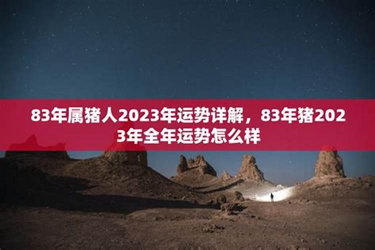 83年猪2023年全年运势怎么样呢