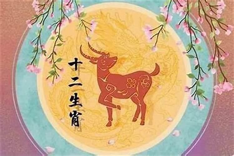 属牛的今年婚姻运势