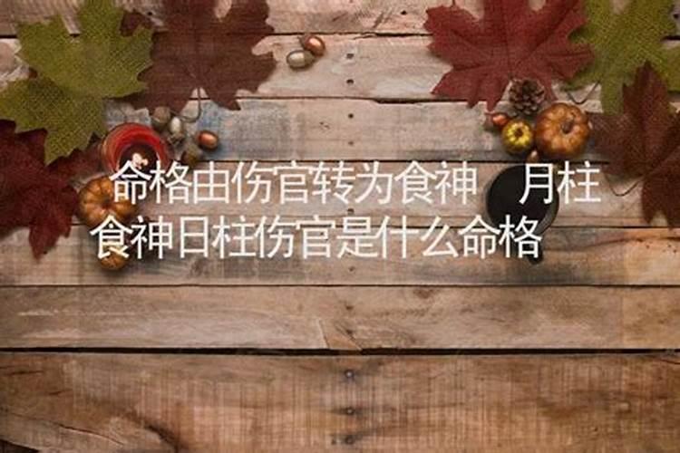 怎么解说八字几两几钱