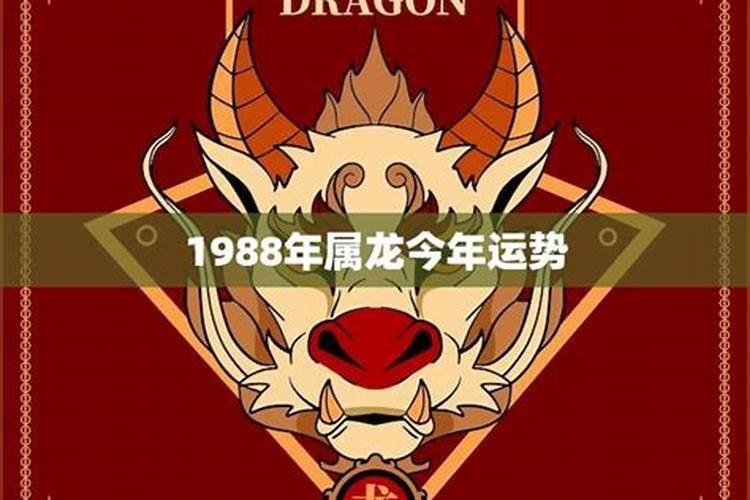 1988属龙今年财运