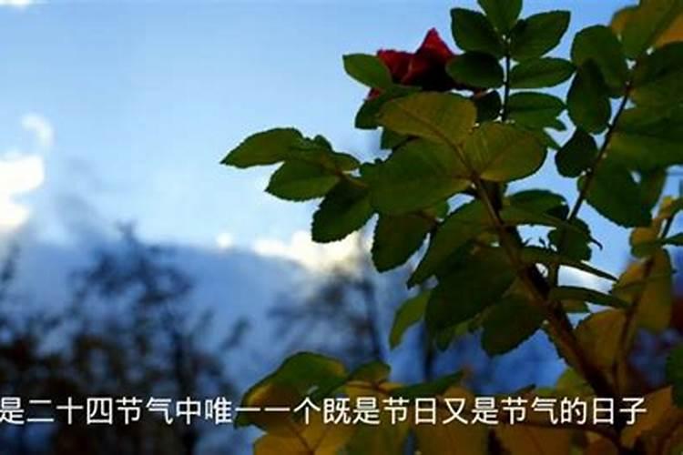 清明节一般在公历的4月几日到几日