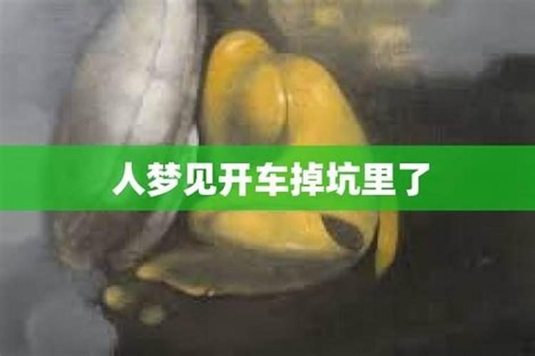 梦见开叉车失控横冲直撞掉进坑里