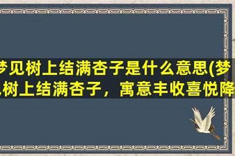 梦见杏子从树上落下是什么意思