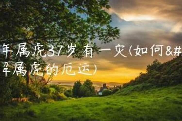 唐绮阳2021年射手座运势详解