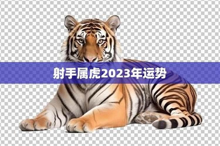 火虎2023年运势如何