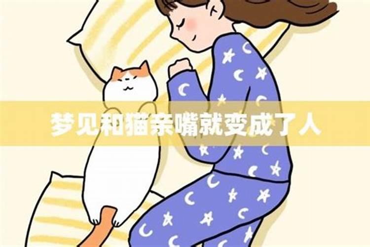 梦到和猫说话了周公解梦