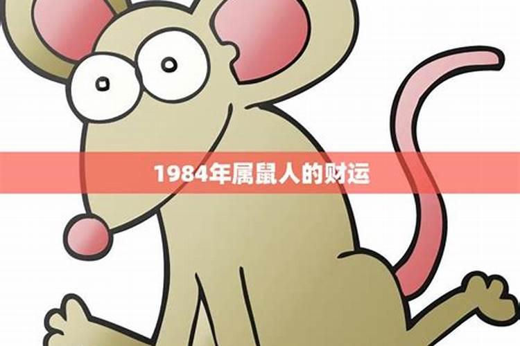 1984的鼠财运如何