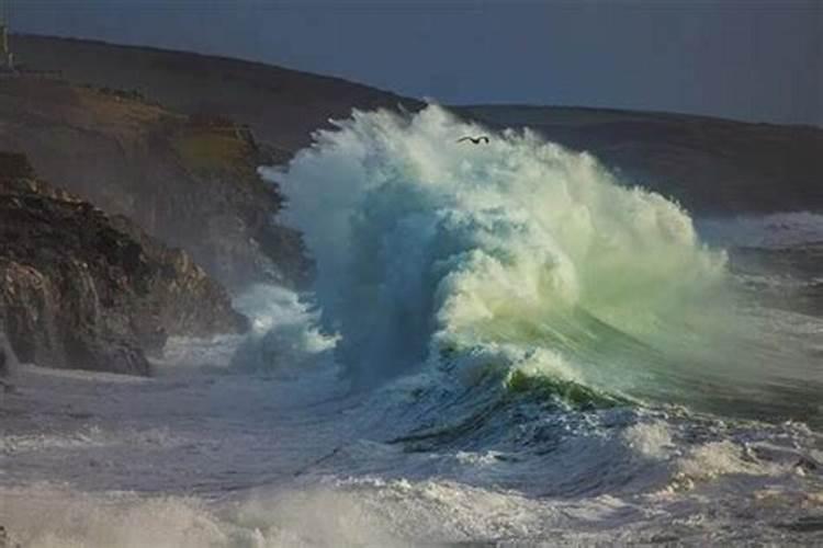 梦见巨大海浪海水进屋