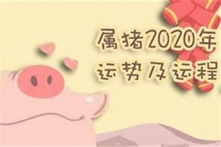 属猪运势2021年运势每月运势