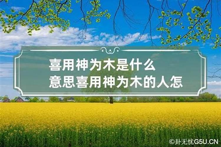 生辰八字喜用神为木什么性格