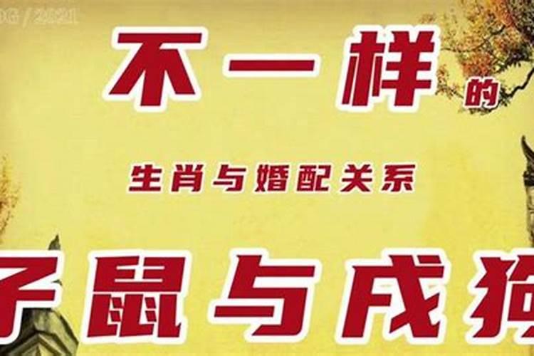 哪里可以测算婚姻八字