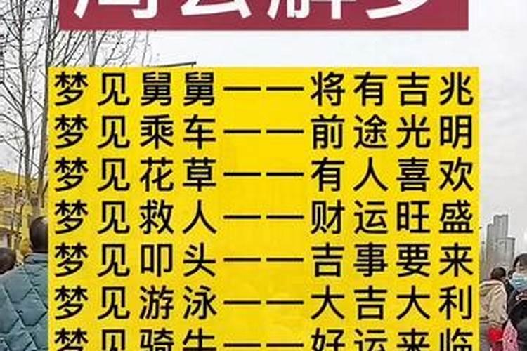 属鼠和属兔的八字合不合