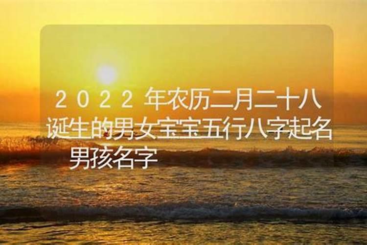 2022年二月二十八出生的男孩