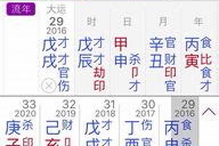 特殊八字有哪些