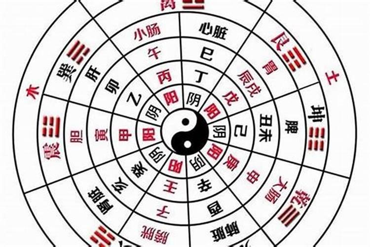 八字算命都说不合