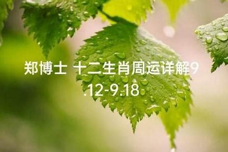 郑博士每周运势2021年7月