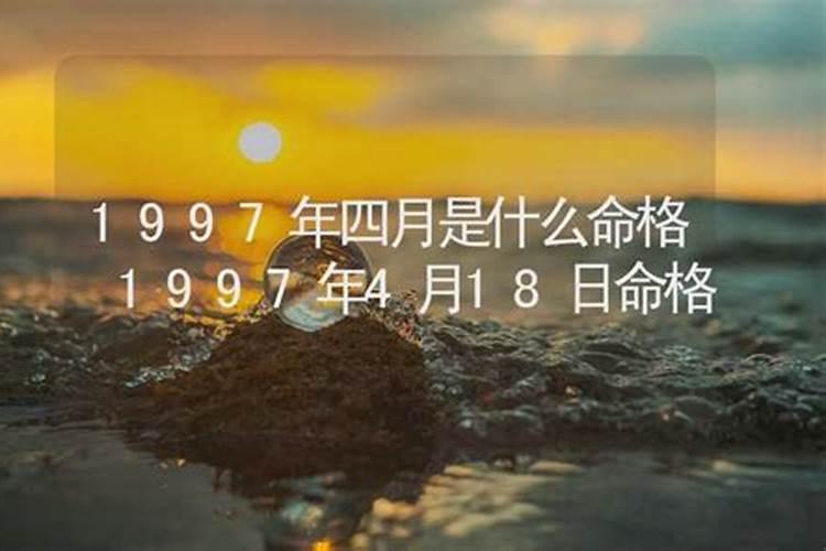 属虎人2024年的全年运势