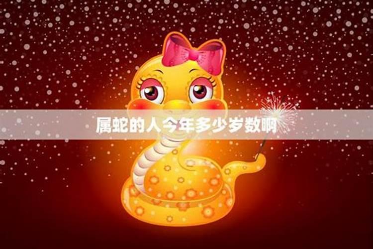 属蛇今年多大年龄了啊