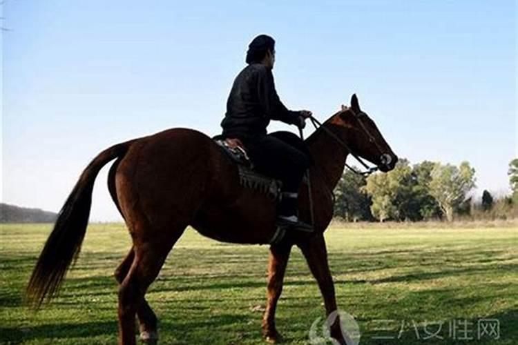 做梦梦到骑马奔跑和别人吵架什么意思