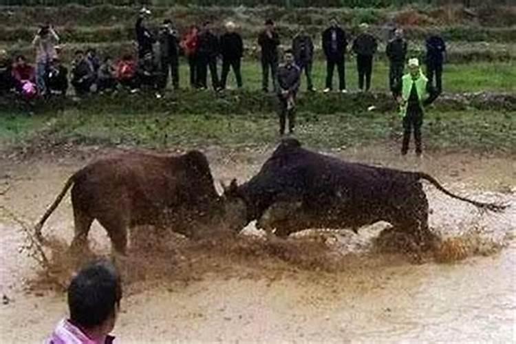 请太岁符怎么请去哪里请