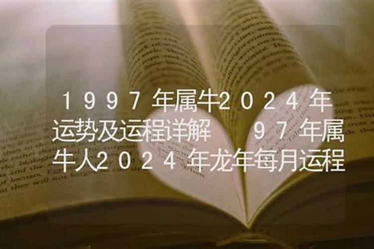 属牛人1997年运势