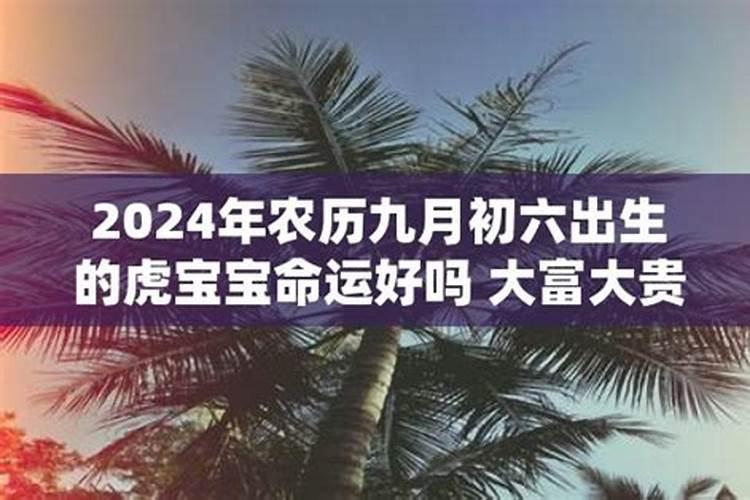 农历九月初六出生的男孩命运如何