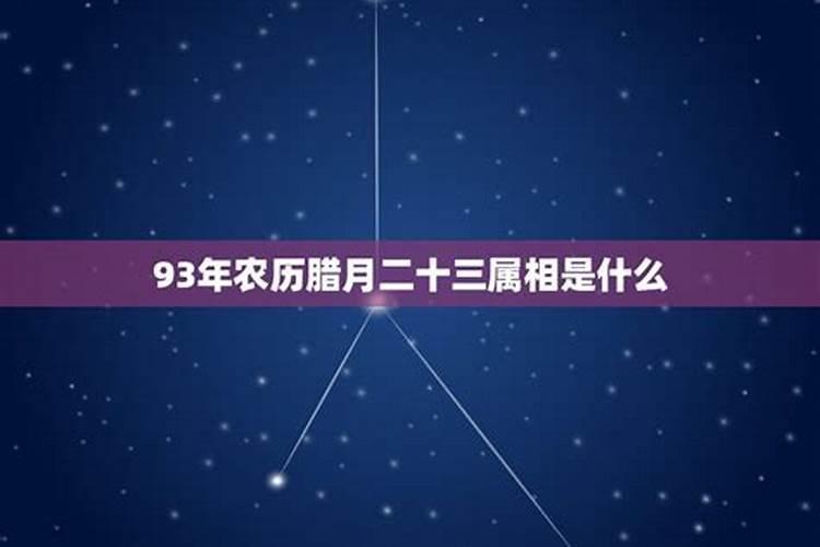 1993农历腊月27是什么命