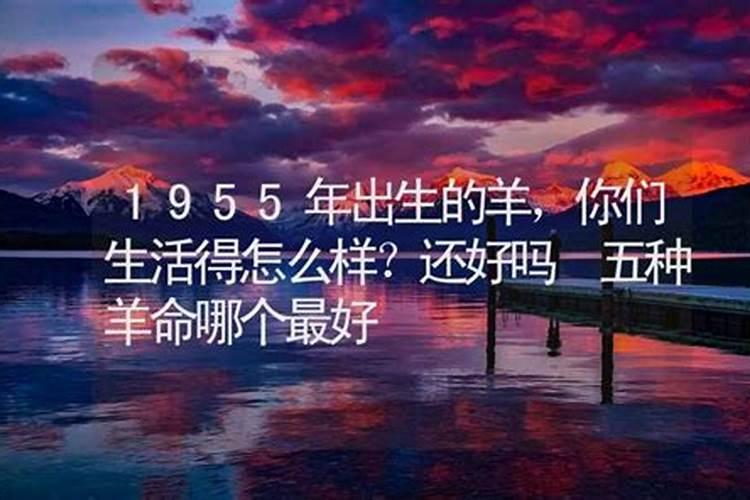 1955羊年出生的人命运如何样呢