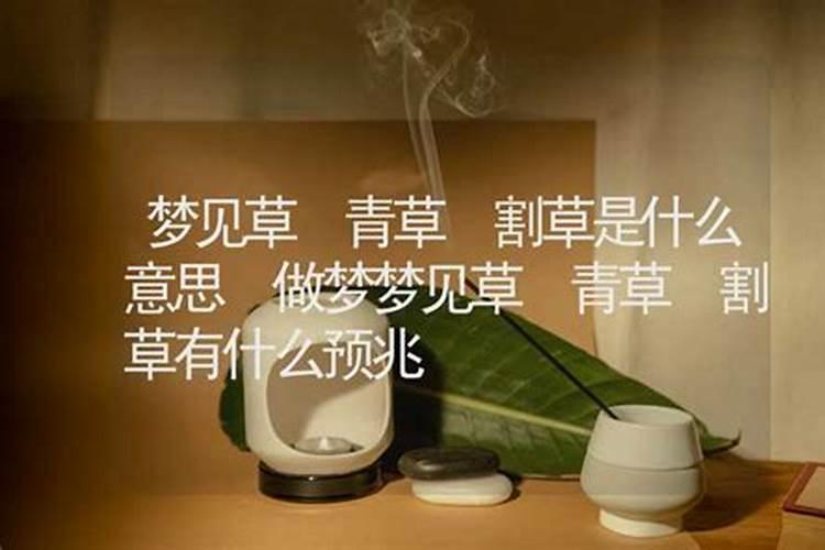 梦见割草是什么意思,草很茂盛