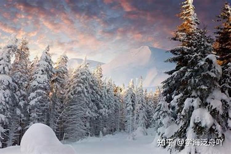 梦见白茫茫的一片雪景