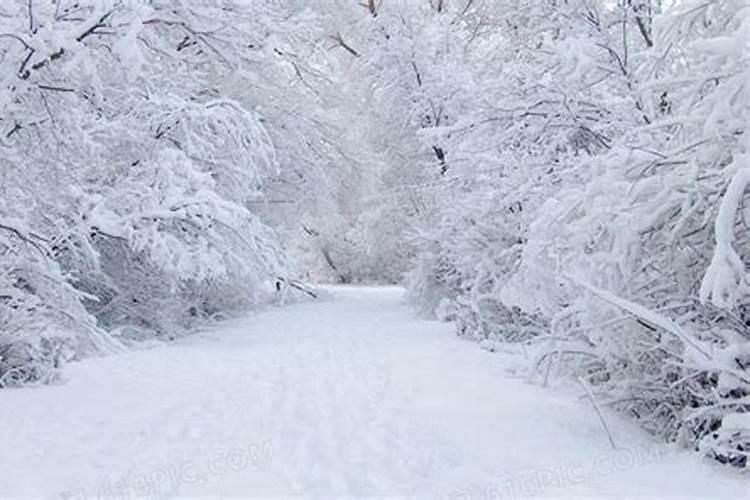 梦到雪白茫茫一片