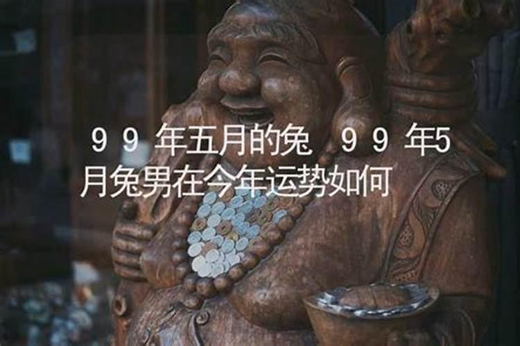 1987年五月二十男兔今年运势如何