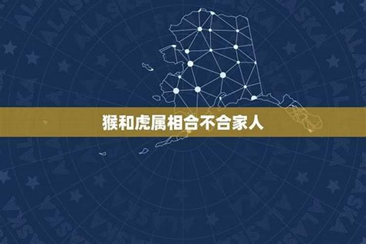 马虎属相合不合家人